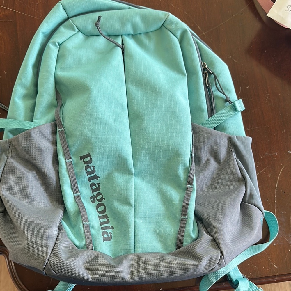 Patagonia Men's Teal and Gray Backpack